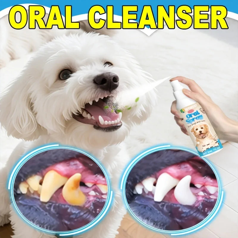 Spray Bucco-Dentaire pour Chien & Chat (50 ml) – Rafraîchisseur d'Haleine, Anti-Tartre & Soin de la Plaque Dentaire Sans Brossage