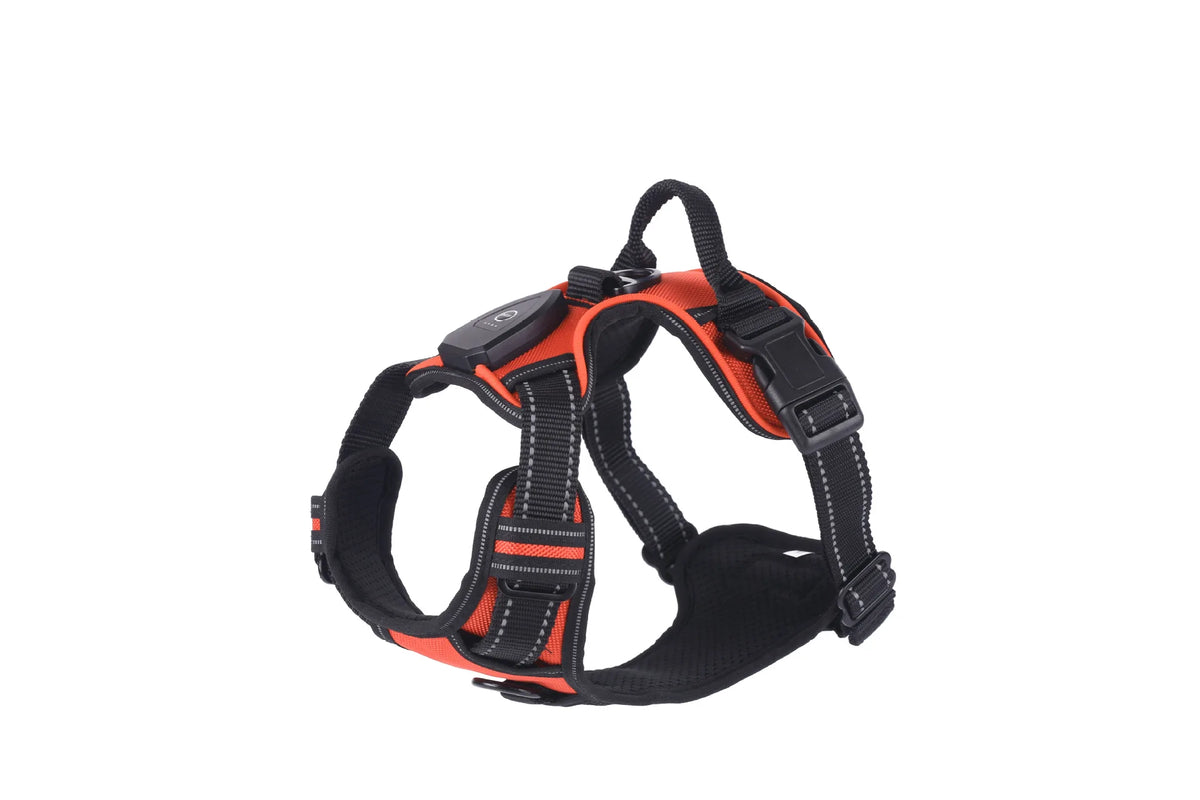 Gilet Harnais Lumineux LED pour Chien Réfléchissant & Réglable – Gilet de Sécurité Nuit & Anti-Collision
