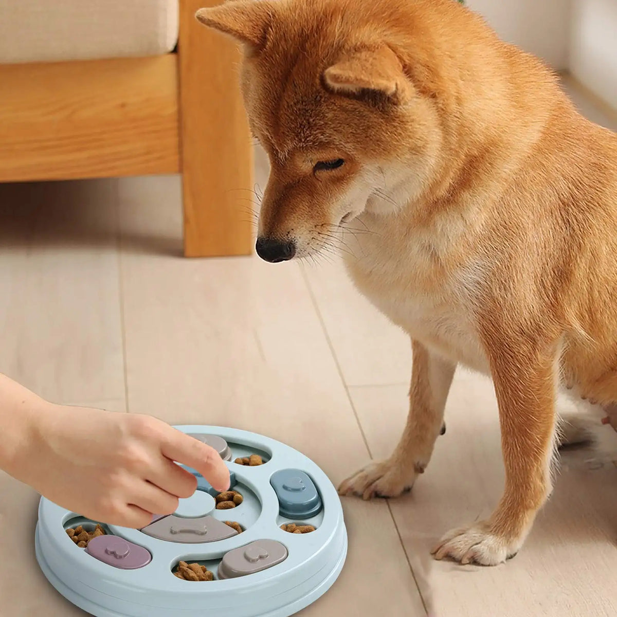 Puzzle Interactif Distributeur de Friandises pour Chien – Jeu d'Enrichissement Mental QI & Gamelle Anti-Glouton pour Petit, Moyen & Grand Chien