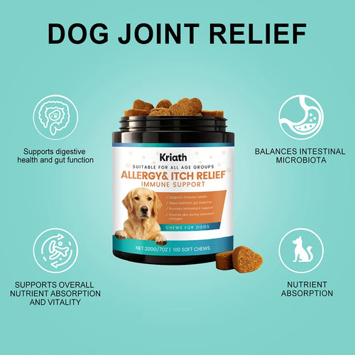 Bouchées Anti-Allergies & Soutien Immunitaire pour Chien (200 g) – Friandises Apaisantes Anti-Démangeaisons, Léchage des Pattes & Peau Sensible