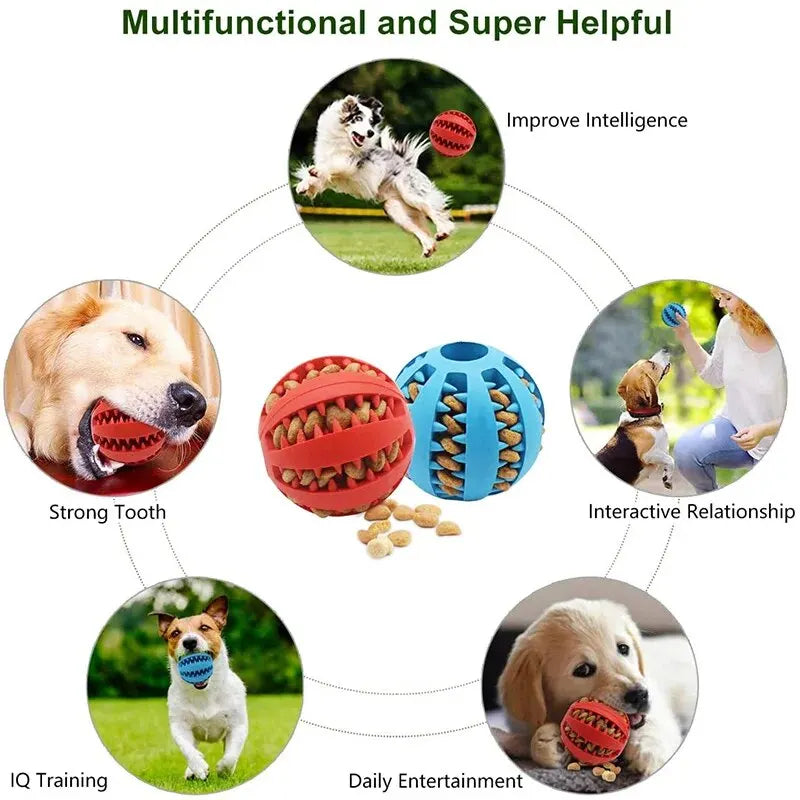 Balle Distributrice de Friandises pour Chien & Chiot – Jouet Mastication en Caoutchouc Naturel Non Toxique, Nettoyage des Dents & Anti-Stress
