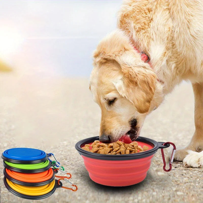 Gamelle Pliable en Silicone pour Chien & Chat – Écuelle de Voyage Nomade avec Couvercle Hermétique & Mousqueton pour Balade & Randonnée