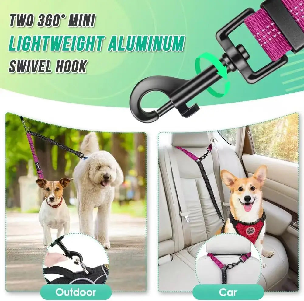 Laisse Double pour 2 Chiens avec Amortisseur Anti-Traction – Séparateur Élastique Réglable Anti-Nœuds