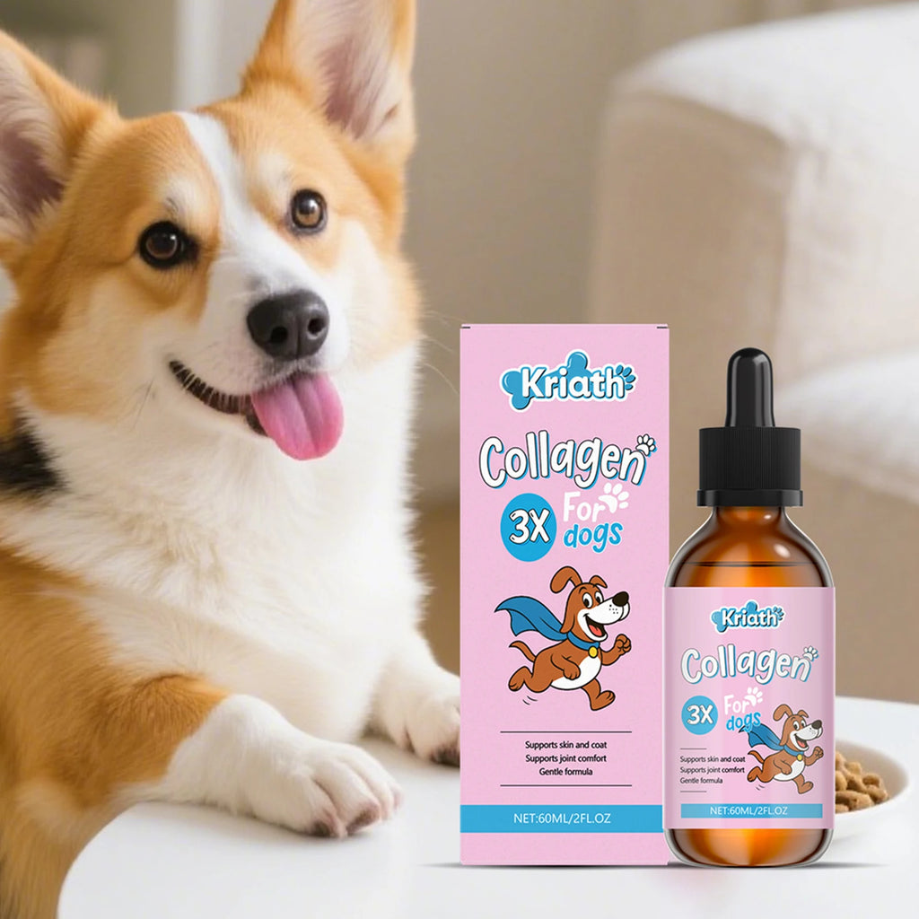 Gouttes de Collagène Liquide pour Chien – Soin Pelage Brillant, Peau Saine, Confort Articulaire & Digestion