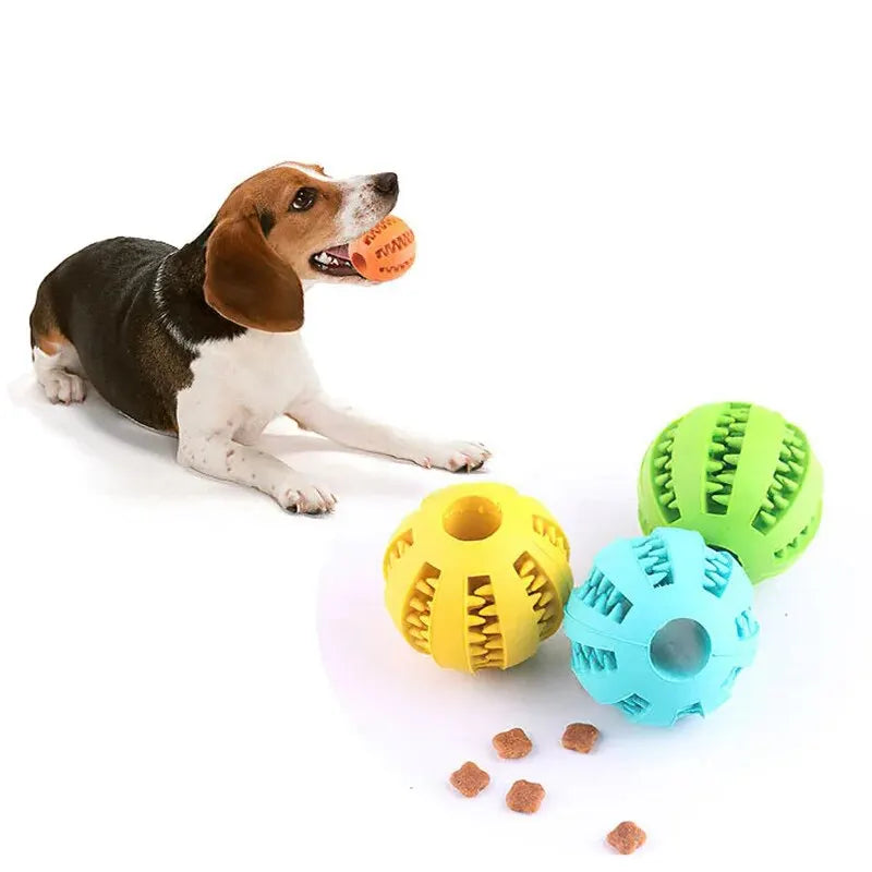 Balle Distributrice de Friandises pour Chien & Chiot – Jouet Mastication en Caoutchouc Naturel Non Toxique, Nettoyage des Dents & Anti-Stress