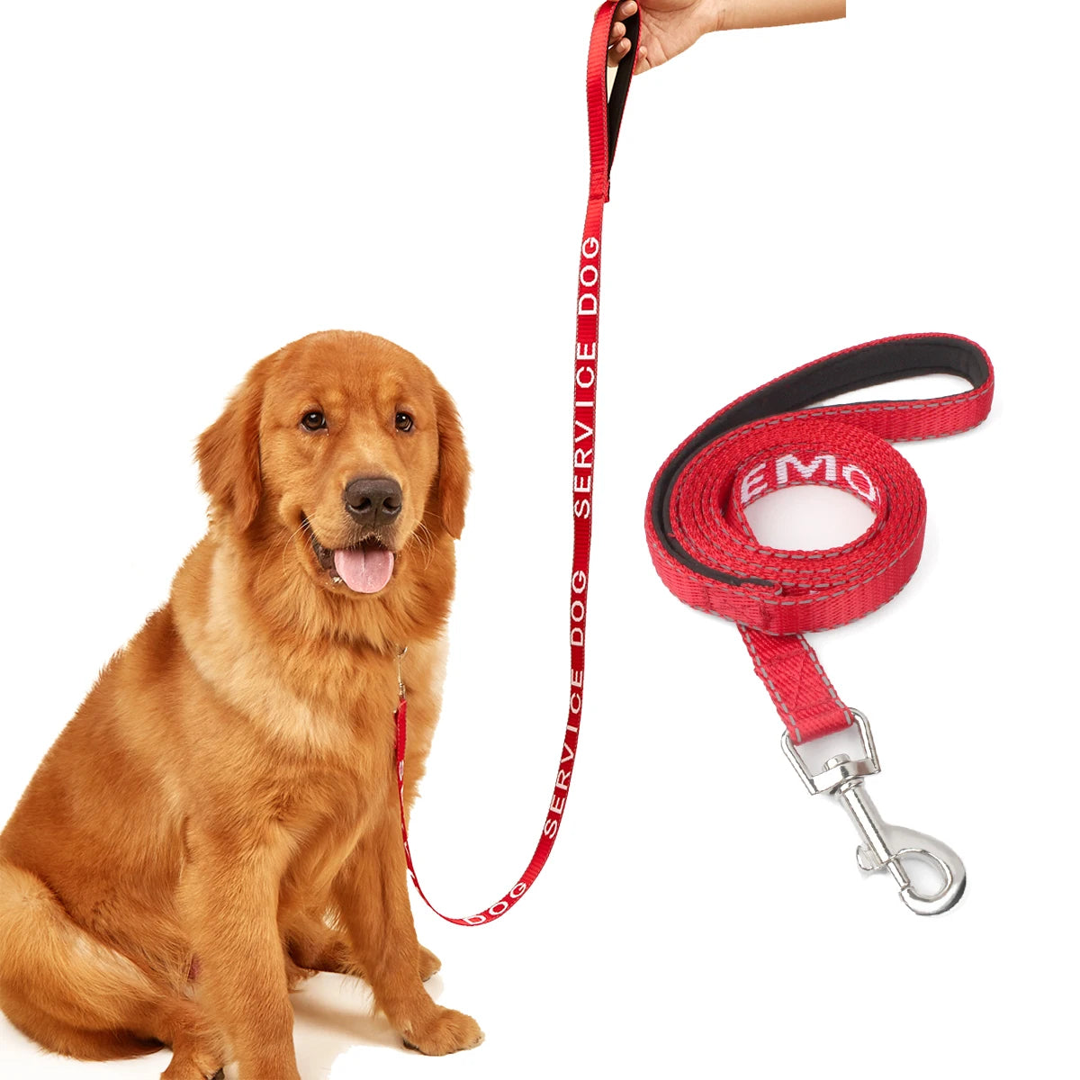 Red Dog Leash For Medium and Small Outdoor Walking Dog Sport Running Jacquard Webbing With Service Dog And Emotional Support Dog
