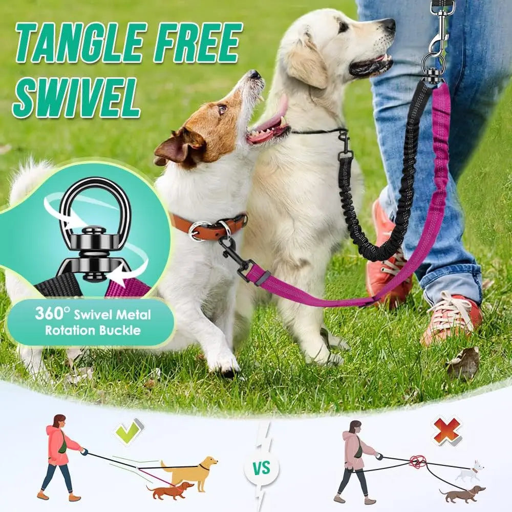 Laisse Double pour 2 Chiens avec Amortisseur Anti-Traction – Séparateur Élastique Réglable Anti-Nœuds