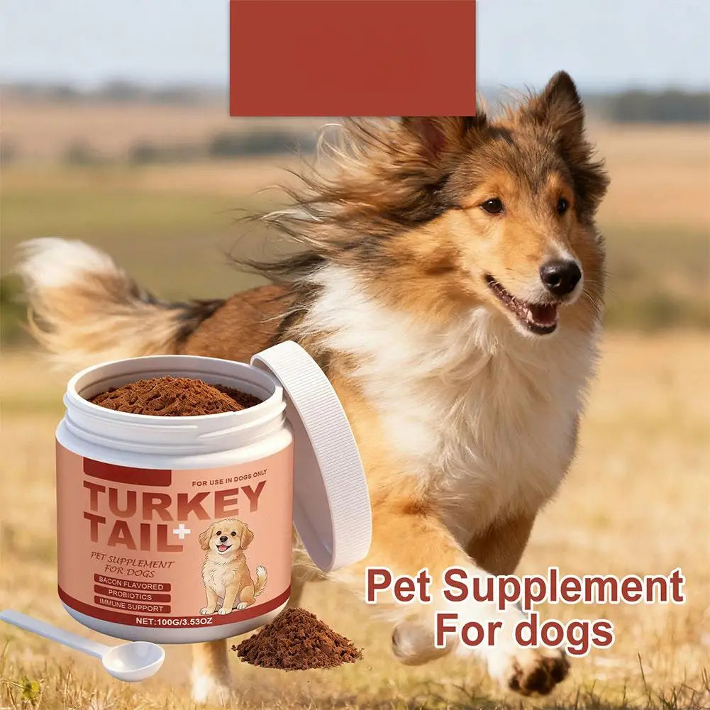 Complément Turkey Tail & Probiotiques pour Chien Saveur Bacon – Soutien Immunitaire, Confort Articulaire & Digestion pour Chien Senior