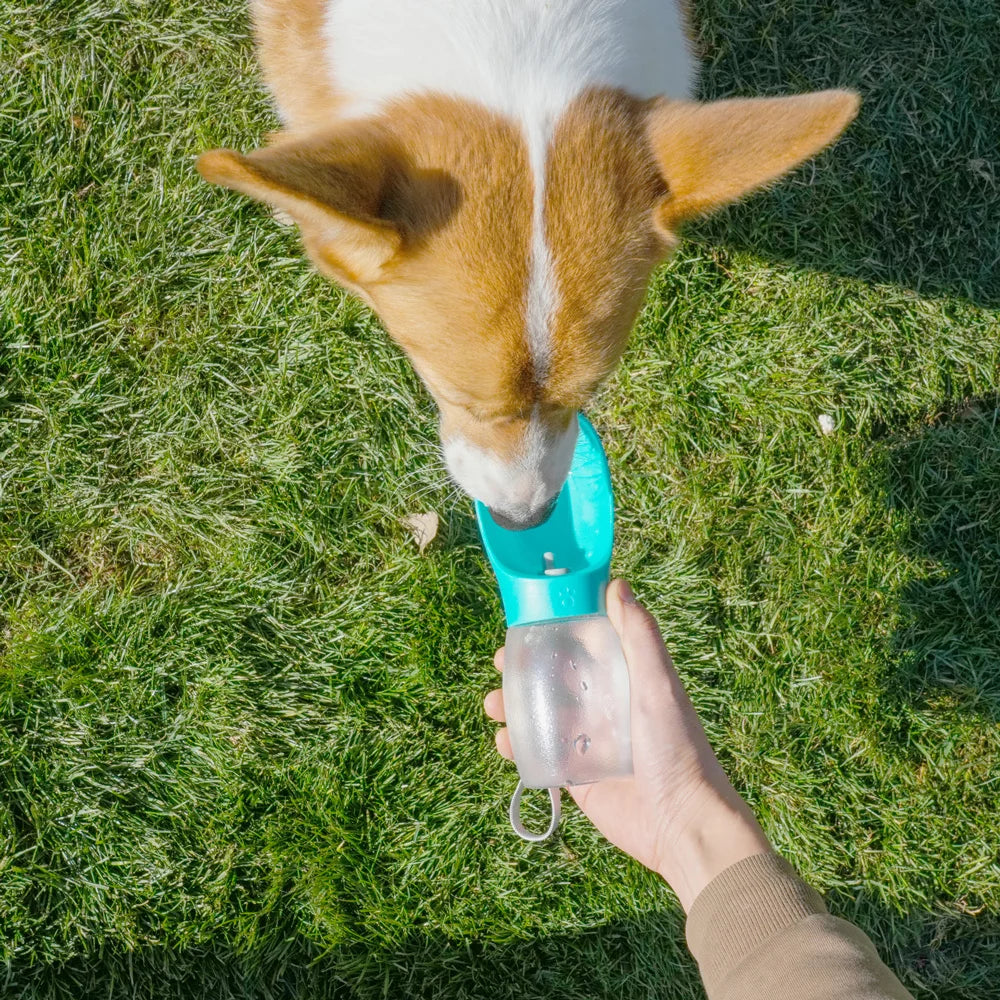 Gourde Portable 300 ml pour Chien & Chat – Bouteille d'Eau de Voyage avec Écuelle Intégrée Anti-Fuite pour Balade & Randonnée